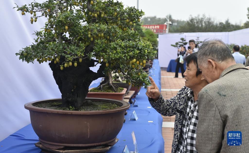 斗呗棋牌官网
